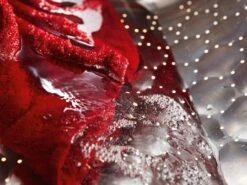 MIELE WTD160 WCS 8/5 Kg -Miele 20000104428 1